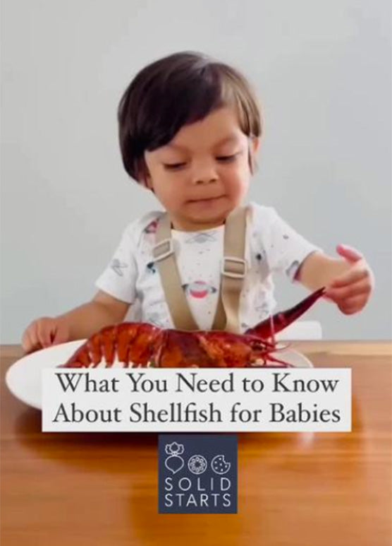 what you need to know about shellfish for babies